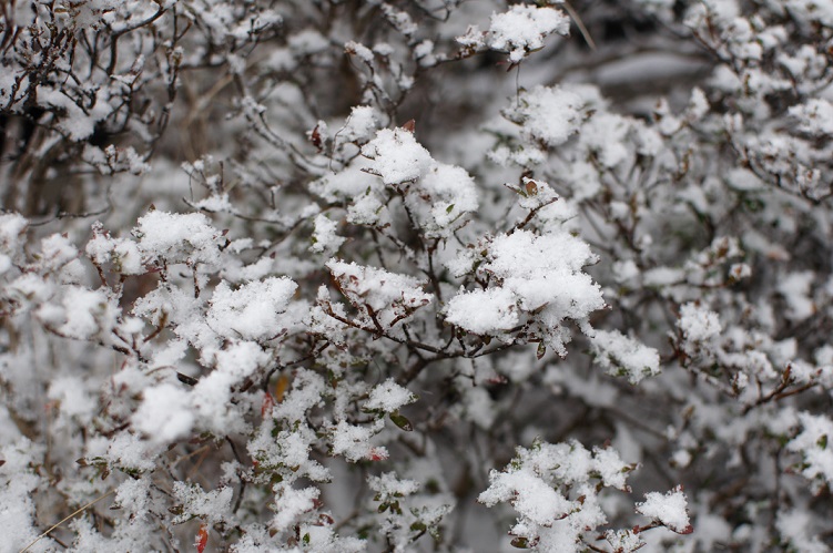 絆ブログ　鷹野